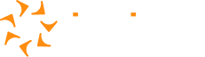 Insight